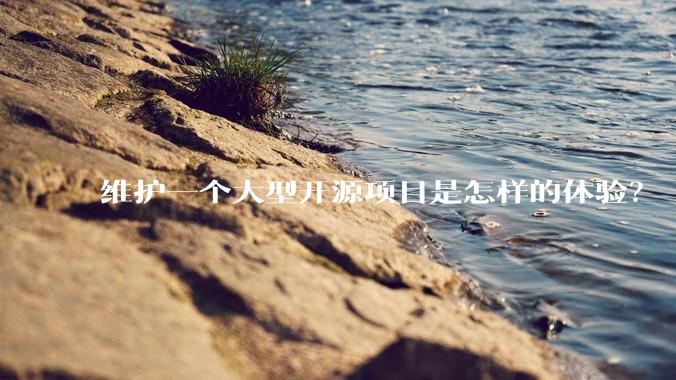 维护一个大型开源项目是怎样的体验？