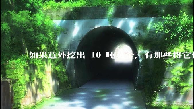 如果意外挖出 10 吨黄金，有那些将它们洗白、正常使用的方法？
